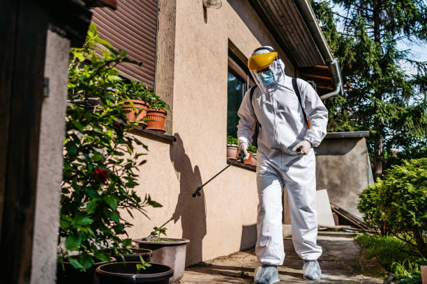Best Flea Control Services  in Cherokee, IA