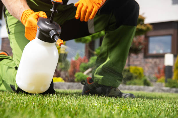 Best Wasp Removal Services  in Cherokee, IA